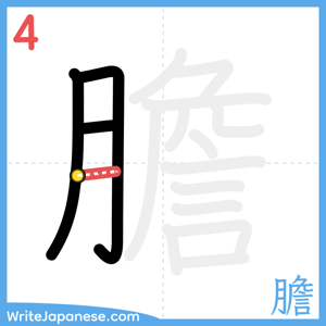 How to write "膽" - stroke 4