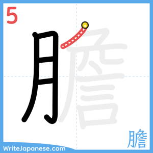 How to write "膽" - stroke 5