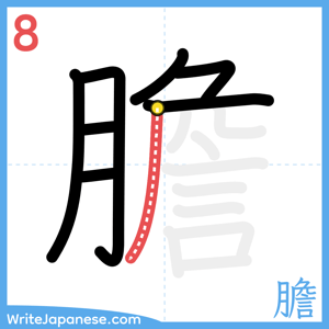 How to write "膽" - stroke 8