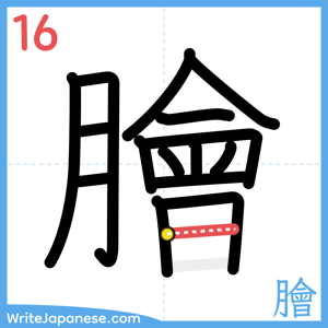 How to write "膾" - stroke 16