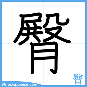 How to write "臀" - complete stroke order