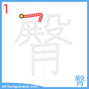 How to write "臀" - stroke 1