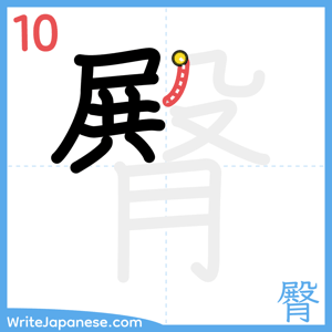 How to write "臀" - stroke 10