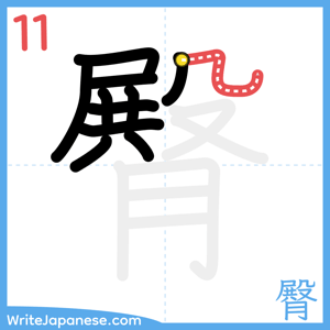 How to write "臀" - stroke 11