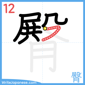 How to write "臀" - stroke 12