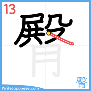How to write "臀" - stroke 13