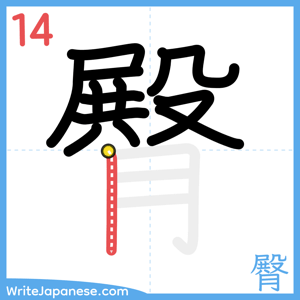 How to write "臀" - stroke 14