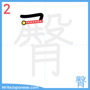 How to write "臀" - stroke 2