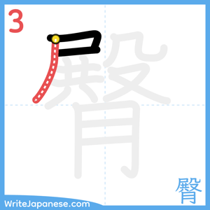How to write "臀" - stroke 3