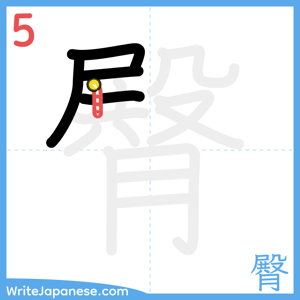 How to write "臀" - stroke 5