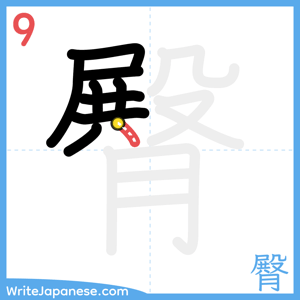 How to write "臀" - stroke 9