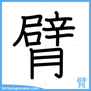 How to write "臂" - complete stroke order