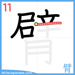 How to write "臂" - stroke 11