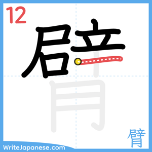 How to write "臂" - stroke 12