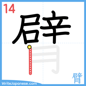 How to write "臂" - stroke 14