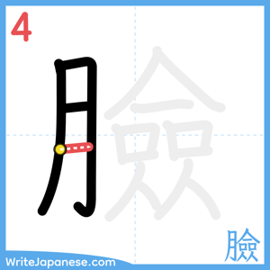 How to write "臉" - stroke 4