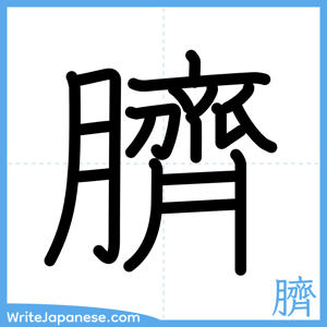 How to write "臍" - complete stroke order