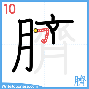 How to write "臍" - stroke 10