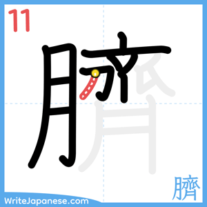 How to write "臍" - stroke 11