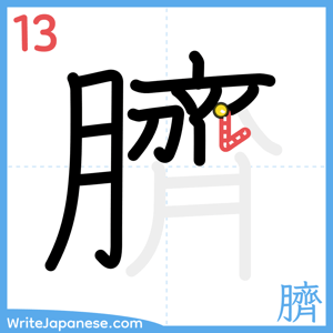 How to write "臍" - stroke 13