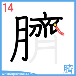 How to write "臍" - stroke 14