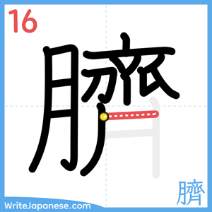 How to write "臍" - stroke 16