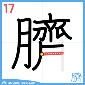 How to write "臍" - stroke 17