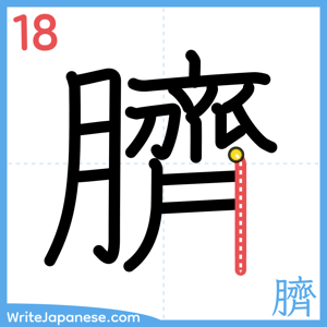 How to write "臍" - stroke 18