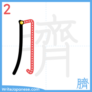How to write "臍" - stroke 2
