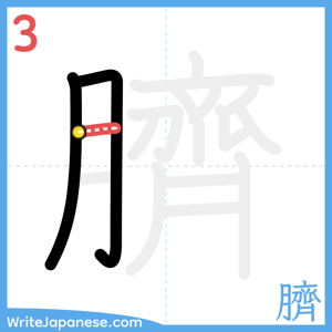 How to write "臍" - stroke 3