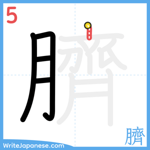 How to write "臍" - stroke 5