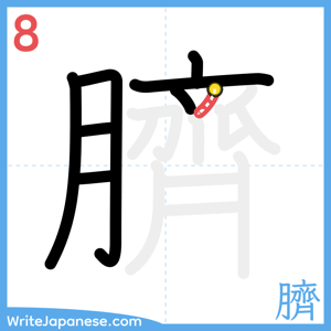 How to write "臍" - stroke 8