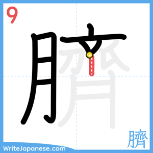 How to write "臍" - stroke 9