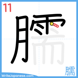 How to write "臑" - stroke 11