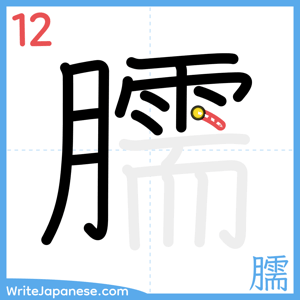 How to write "臑" - stroke 12