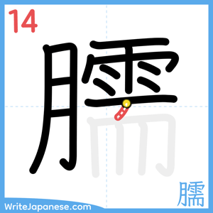 How to write "臑" - stroke 14