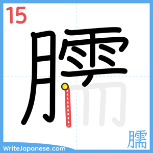 How to write "臑" - stroke 15
