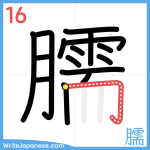 How to write "臑" - stroke 16