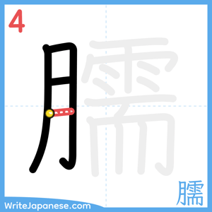 How to write "臑" - stroke 4