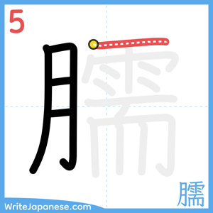 How to write "臑" - stroke 5