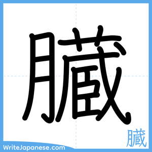 How to write "臓" - complete stroke order
