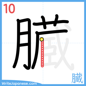 How to write "臓" - stroke 10