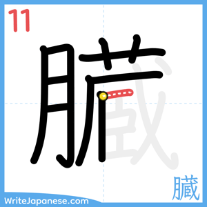 How to write "臓" - stroke 11