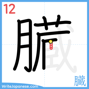 How to write "臓" - stroke 12