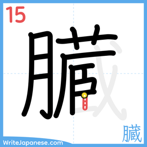 How to write "臓" - stroke 15