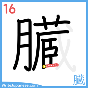 How to write "臓" - stroke 16