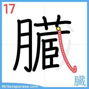 How to write "臓" - stroke 17
