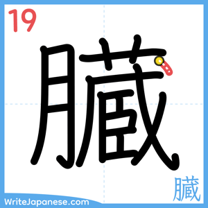 How to write "臓" - stroke 19