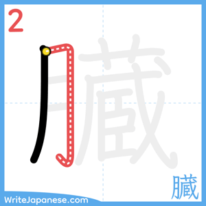 How to write "臓" - stroke 2