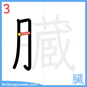 How to write "臓" - stroke 3